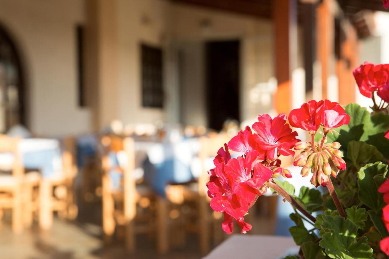Albatross Hotel Maleme  Bagian luar foto